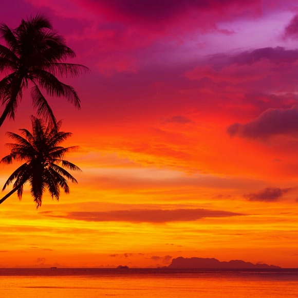 Meet your Posher, Anna - Picture 1 of 1